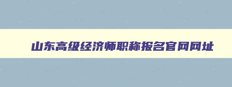 山东高级经济师职称报名官网网址