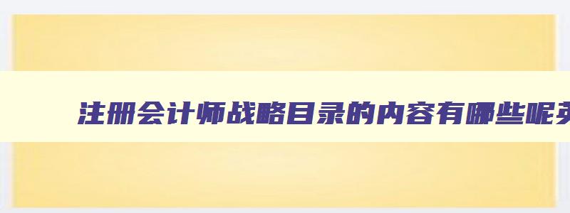 注册会计师战略目录的内容有哪些呢英文