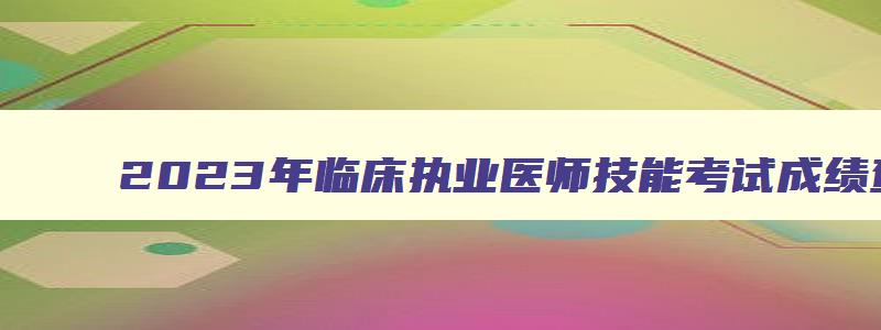 2023年临床执业医师技能考试成绩查询