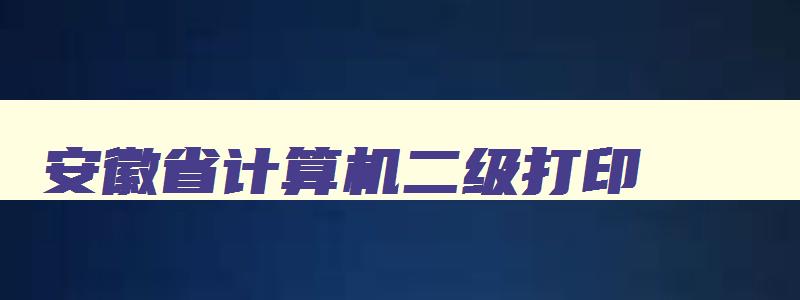 安徽省计算机二级打印