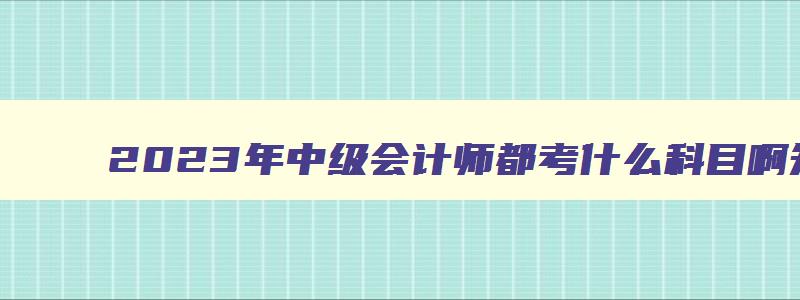 2023年中级会计师都考什么科目啊