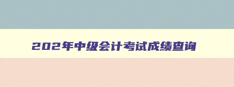 202年中级会计考试成绩查询,202年中级会计考试