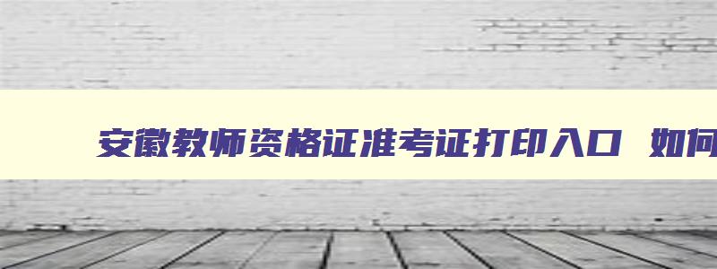 安徽教师资格证准考证打印入口