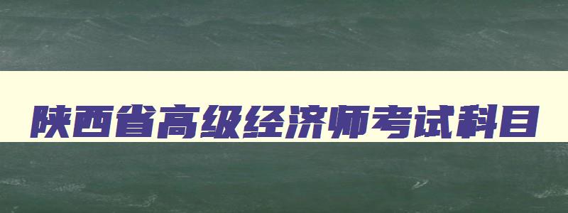 陕西省高级经济师考试科目