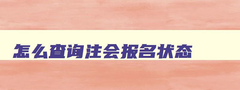 怎么查询注会报名状态,注会怎么查看报名是否成功