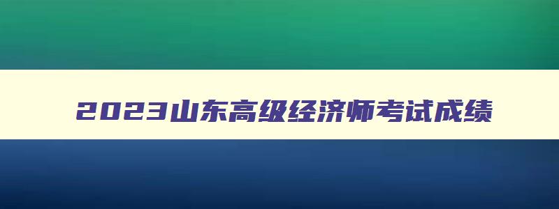 2023山东高级经济师考试成绩,山东2023年高级经济师考试成绩查询时间