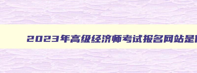 2023年高级经济师考试报名网站是什么