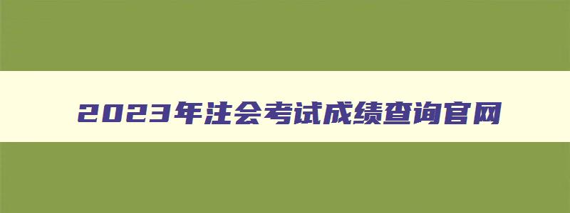 2023年注会考试成绩查询官网