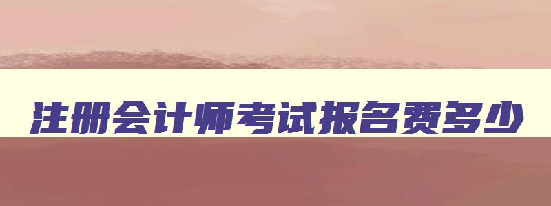 注册会计师考试报名费多少,2023年注册会计师报考费用