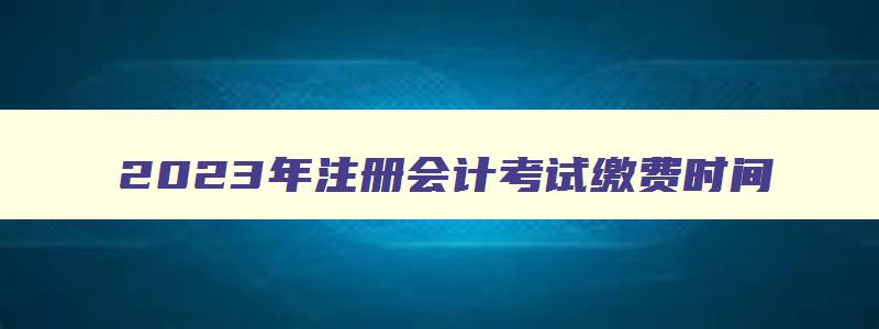 2023年注册会计考试缴费时间,2023注册会计师考试缴费时间