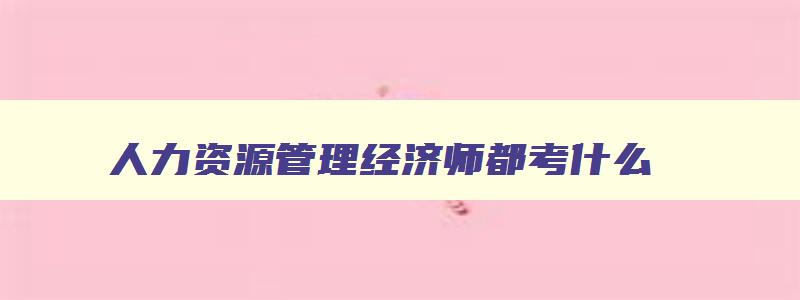 人力资源管理经济师都考什么,经济-人力资源管理师考哪两科