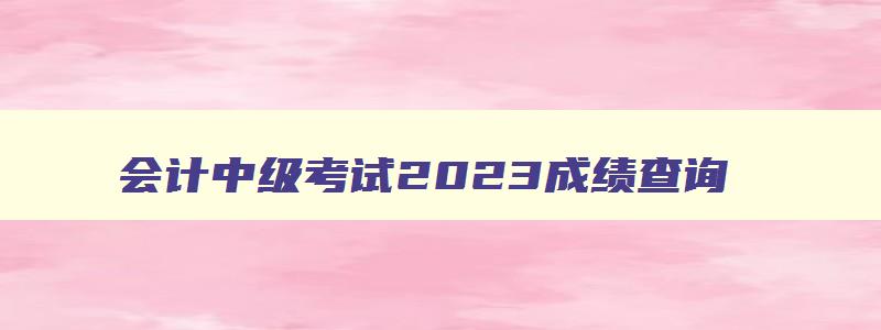 会计中级考试2023成绩查询,2023年全国会计中级考试成绩查询网址