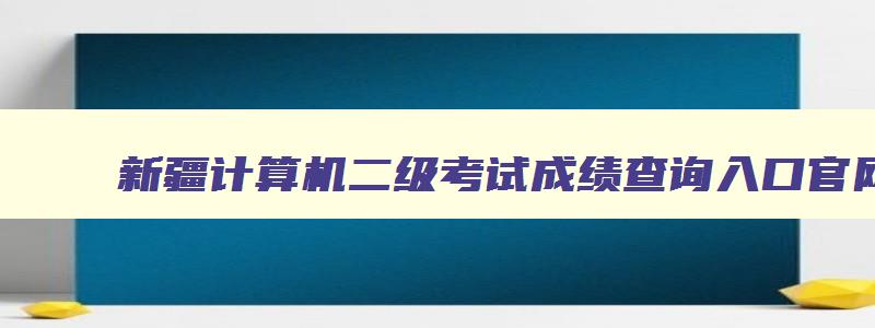 新疆计算机二级考试成绩查询入口官网,新疆计算机二级考试2023