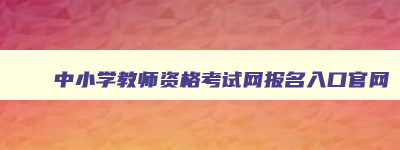 中小学教师资格考试网报名入口官网