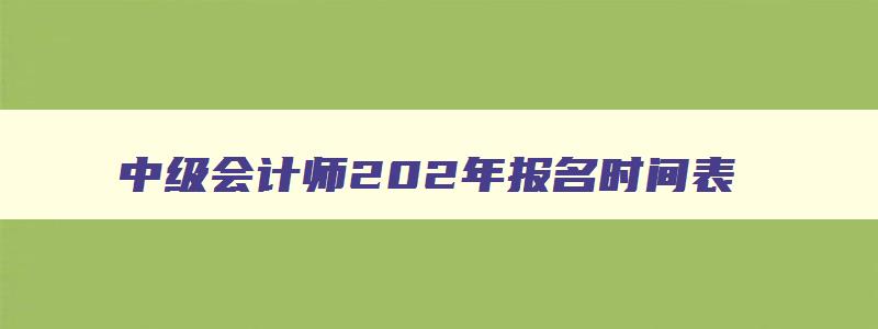 中级会计师202年报名时间表,中级会计师202年报名时间