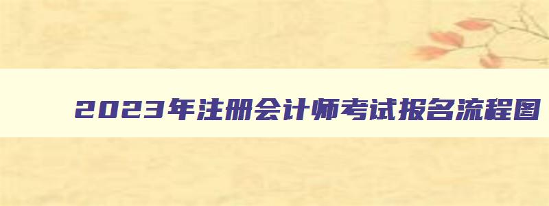 2023年注册会计师考试报名流程图