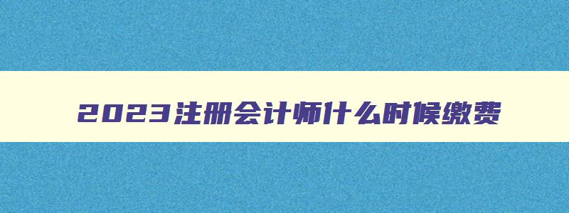 2023注册会计师什么时候缴费