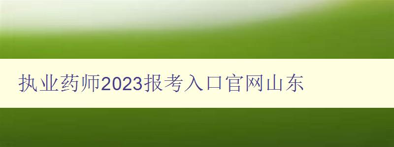 执业药师2023报考入口官网山东