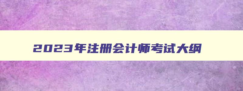 2023年注册会计师考试大纲