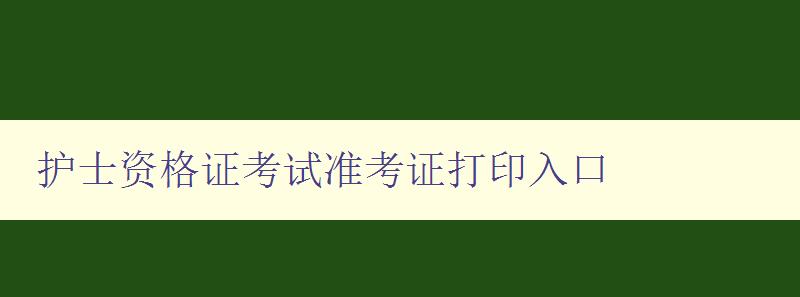 护士资格证考试准考证打印入口