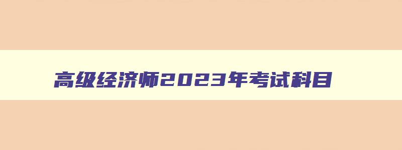 高级经济师2023年考试科目