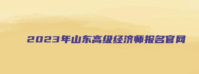 2023年山东高级经济师报名官网（山东省高级经济师报名时间2023年）