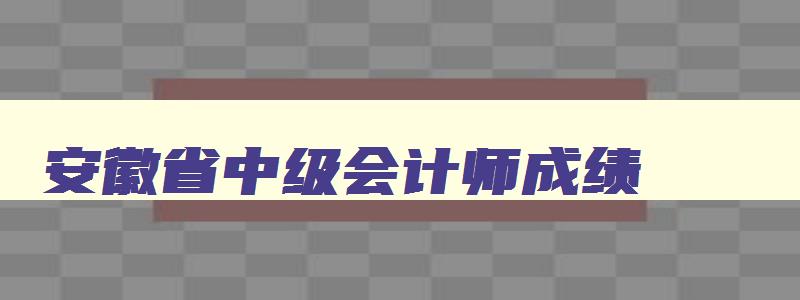 安徽省中级会计师成绩