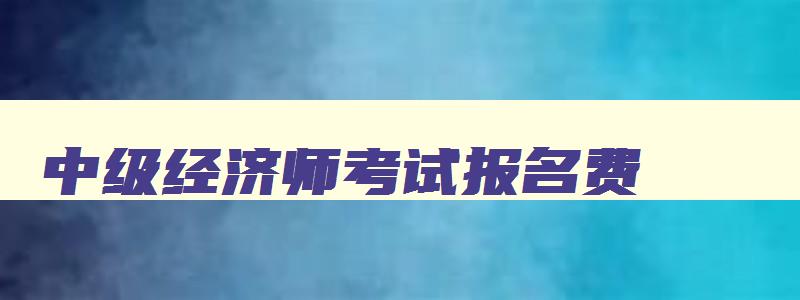 中级经济师考试报名费,2023年中级经济师报名费