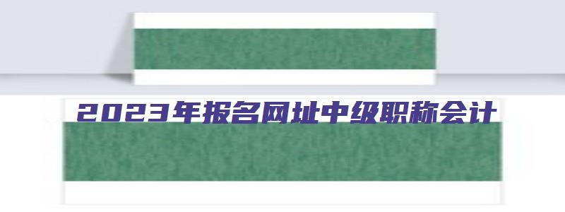 2023年报名网址中级职称会计（2023年报名网址中级职称会计怎么报名）