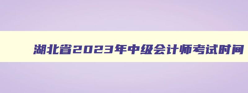 湖北省2023年中级会计师考试时间