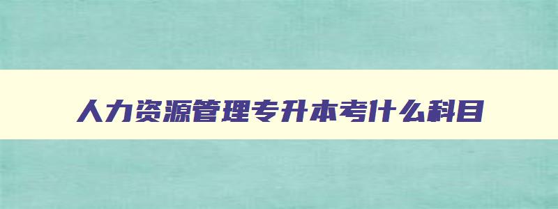 人力资源管理专升本考什么科目,人力资源管理专业专升本考什么