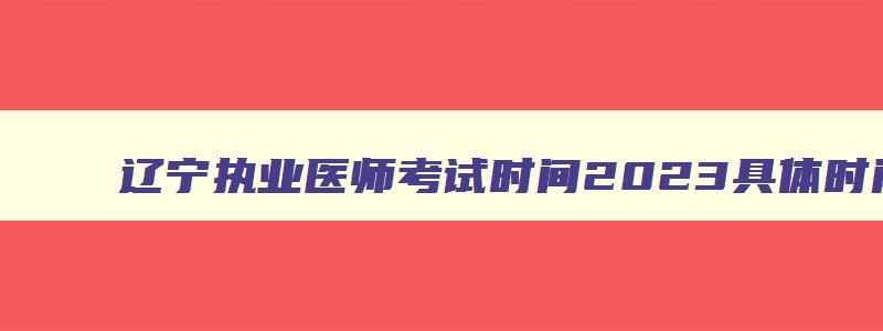 辽宁执业医师考试时间2023具体时间