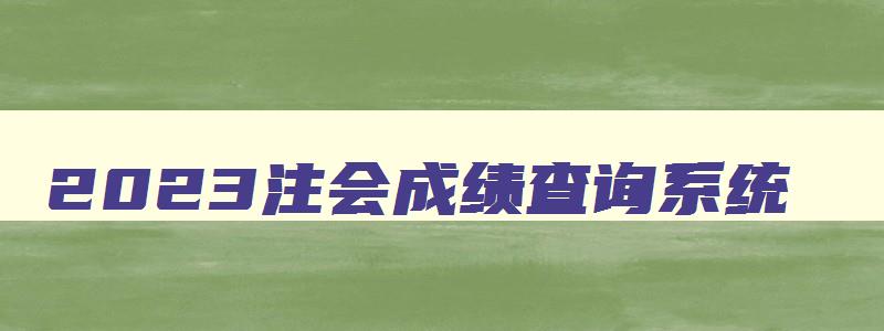 2023注会成绩查询系统,2023年注会考试成绩查询官网