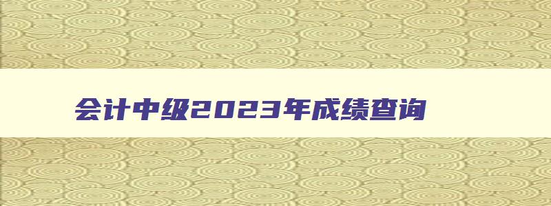 会计中级2023年成绩查询,2023会计中级会计成绩查询