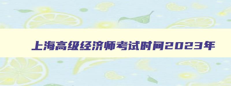 上海高级经济师考试时间2023年