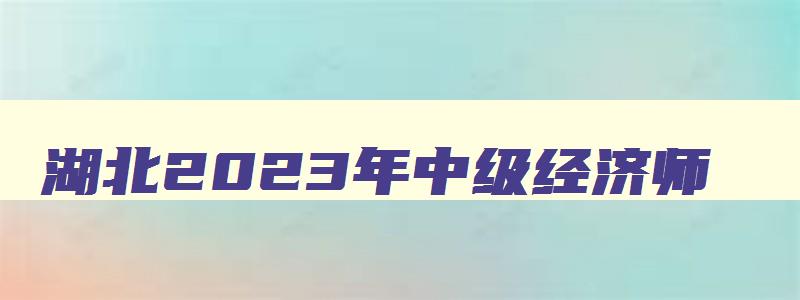 湖北2023年中级经济师,2023湖北中级经济师合格