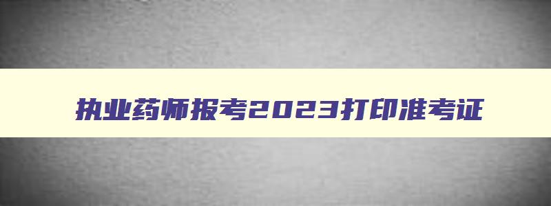 执业药师报考2023打印准考证