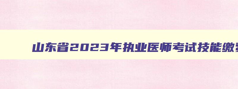 山东省2023年执业医师考试技能缴费时间,山东执业医师技能考试时间