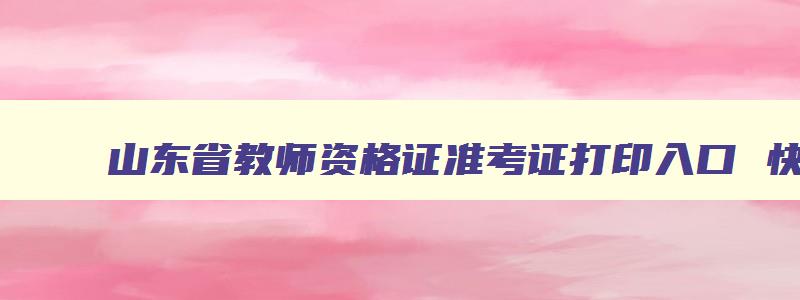 山东省教师资格证准考证打印入口