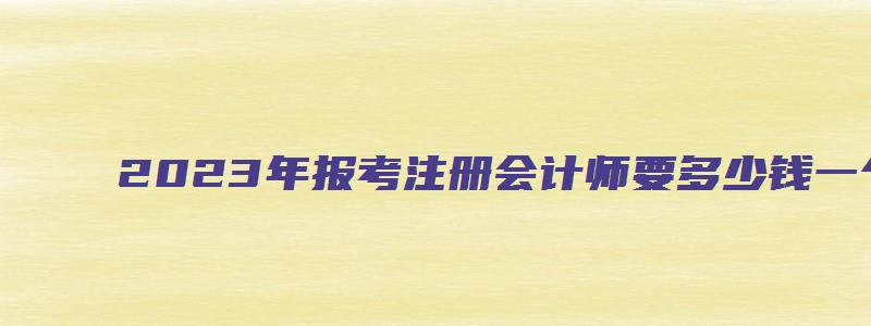 2023年报考注册会计师要多少钱一个月（2023年报考注册会计师要多少钱一个月呢）