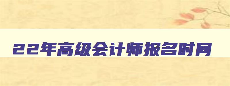 22年高级会计师报名时间