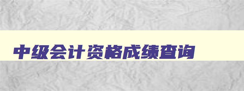 中级会计资格成绩查询