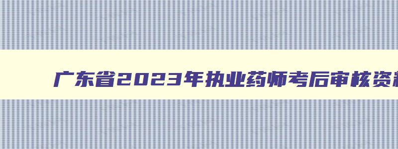 广东省2023年执业药师考后审核资料