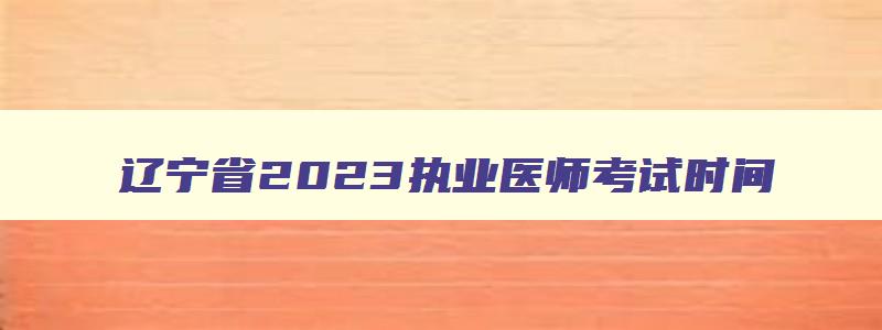 辽宁省2023执业医师考试时间