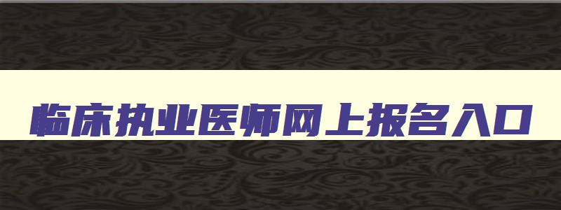 临床执业医师网上报名入口,2023年临床执业医师考试网上报名时间