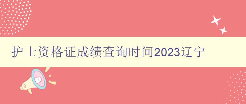 护士资格证成绩查询时间2023辽宁