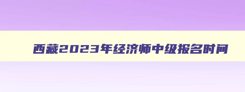 西藏2023年经济师中级报名时间,西藏高级经济师报名考试时间