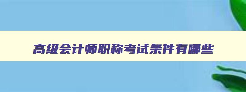 高级会计师职称考试条件有哪些,高级会计师职称考试条件