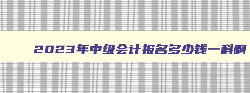 2023年中级会计报名多少钱一科啊