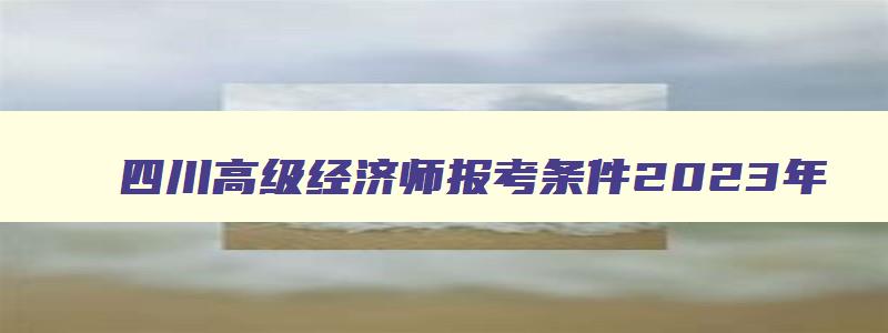 四川高级经济师报考条件2023年